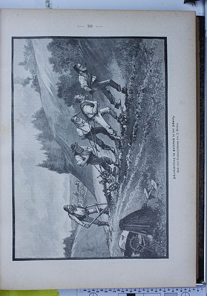 File:Die Gartenlaube (1896) 0269.jpg