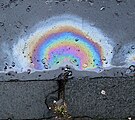 Diesel does not mix with water. This picture also showcases the phenomenon of Thin-film interference.