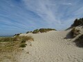 Dune de sable