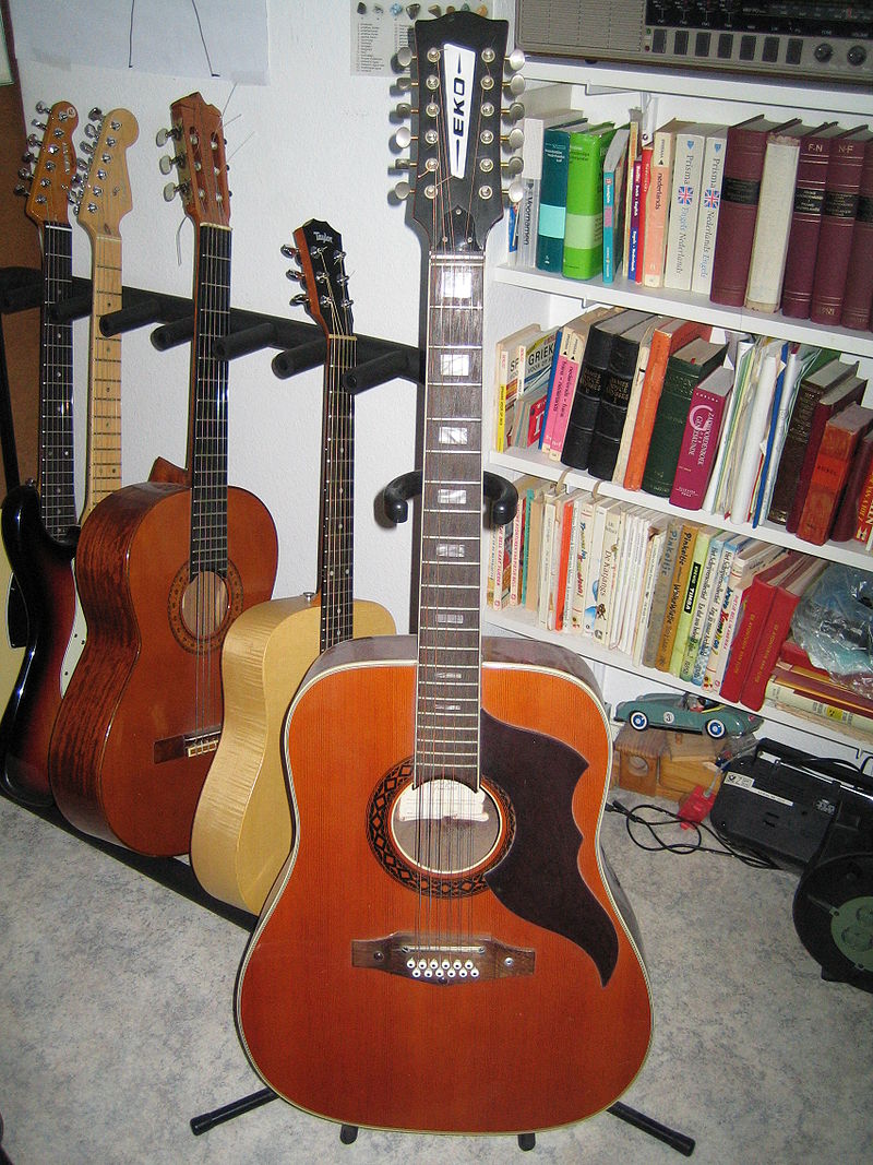 12-snarige gitaar Wikipedia