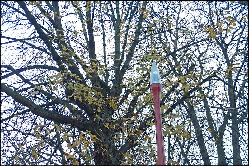 File:Effet de la pollution lumineuse sur l'arbre urbain Effect of light pollution on urban trees and dead leaves 02.jpg