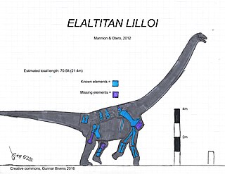 <i>Elaltitan</i> Extinct genus of dinosaurs