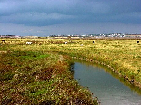 Isle of Sheppey