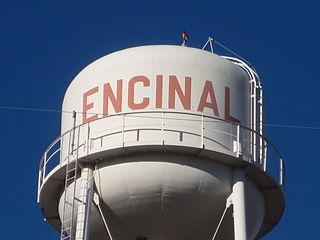 <span class="mw-page-title-main">Encinal, Texas</span> Town in Texas, United States