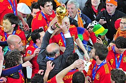 FIFA Coupe du Monde 2010 Espagne Cup.jpg