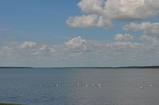 <span class="mw-page-title-main">False Bay Park</span> Nature reserve in South Africa