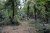 Fancott Woods kaj Meadows 10.JPG