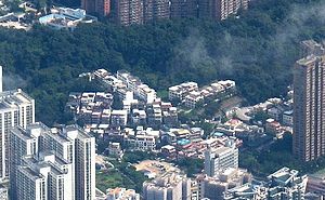 Tai Wai