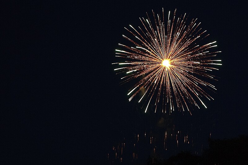 File:Feuerwerk Kurparkfest 2009 Hamm (10567758343).jpg