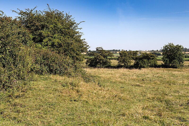 File:Fields east of Canons Ashby - geograph.org.uk - 5075279.jpg