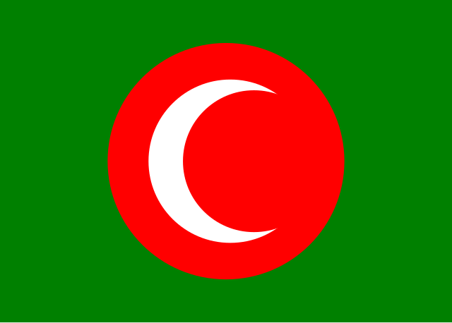 الدولة الكردية (1918-1919)