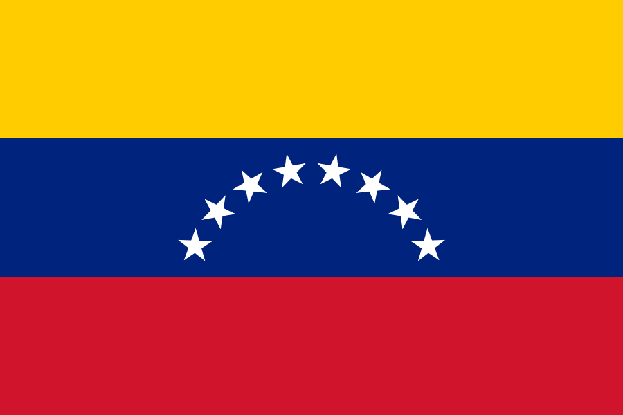 Image of the new Venezuela flag. 