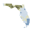 1998 Florida Amendment 8