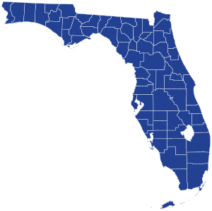 Florida Democratic presidential primary election results by county, 2020.svg