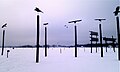 Tempelhofer Park (winter 2011)