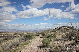 Foothills Loop Trail in the Whetstone Mountains foothills Foothills Loop Trail, Whetstone Mountains.JPG