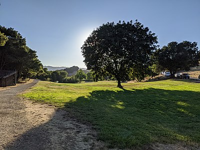 The view from the main entrance