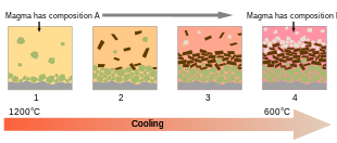 Schematic diagrams showing the principles behind fractional crystallisation in a magma. While cooling, the magma evolves in composition because different minerals crystallize from the melt. 1: olivine crystallizes; 2: olivine and pyroxene crystallize; 3: pyroxene and plagioclase crystallize; 4: plagioclase crystallizes. At the bottom of the magma reservoir, a cumulate rock forms. Fractional crystallization.svg