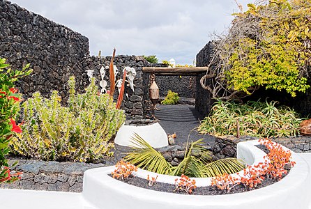 Part of the garden, Fundación César Manrique Tahiche Lanzarote