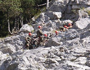 Bundeswehr Gebirgsjägertruppe: Auftrag, Geschichte, Ausbildung