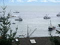 Georgia Strait Herring Fishery, 2010 (4395268283).jpg