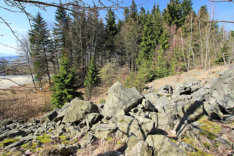 File:Geotop Basaltsäulen ("Butterfässer") am Pöhlberg 2H1A2802WI.jpg