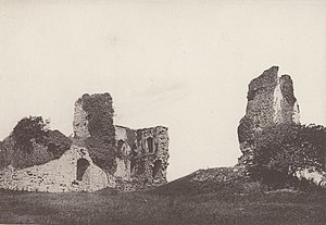 Partial remains of stone walls, partly covered in vegetation