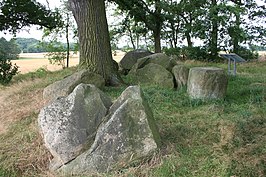 Große Steine von Stenum