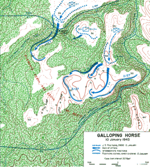 Battle Of Mount Austen, The Galloping Horse, And The Sea Horse