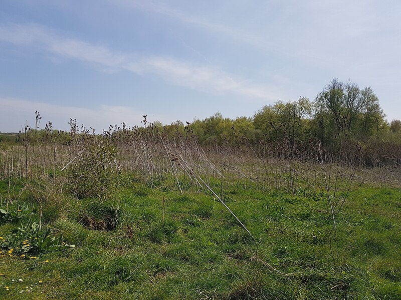 File:Gunpowder Park 20190419 131007 (46919306234).jpg