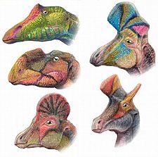 Hadrosauroids.jpg