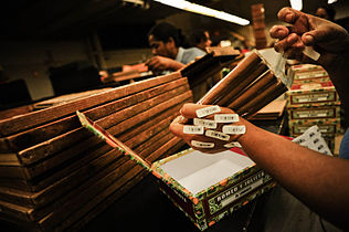 Handmade cigar production, process. Dominican Republic