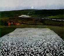 Harald Sohlberg, Flower Meadow in the North, 1905.jpg