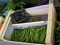 Haricots vert