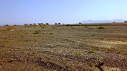 Stony desert landscape near Hatta, in the region of the Western Hajar Mountains Hatta west UAE 1401200712886.jpg