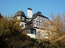 Haus am Rhein, Rüngsdorf, 11.2011 - panoramio (1)