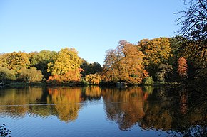 Herbst im Rombergpark - panoramio (12) .jpg