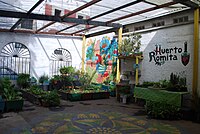 Urban agriculture project in the La Romita section of Colonia Roma, Mexico City HuertoRomita03.JPG