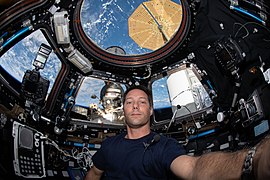 ISS-65 Thomas Pesquet inside the cupola.jpg