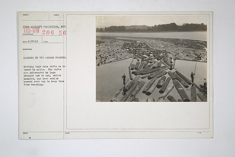 File:Industries of War - Lumber - LOGGING IN THE OREGON FORESTS. Getting logs into rafts to be towed to mills. The rafts are surrounded by logs chained end to end, called boomers, and have cables passed over top to ke(...) - NARA - 31490119.jpg