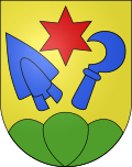 Wappen von Ins