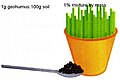 Using soil enhancer with potted plants.