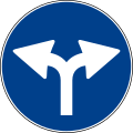 Right or left turn only ahead