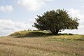 Vorschaubild der Version vom 18:51, 26. Sep. 2017