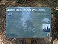 Miniatura para John Beaumont Williams