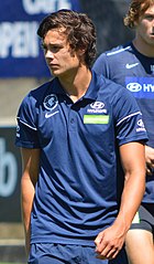 silvagni