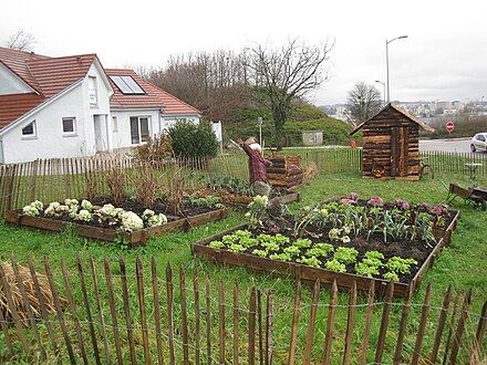 Typical potager (French intensive gardening) with its traditional scarecrow in the French countryside
