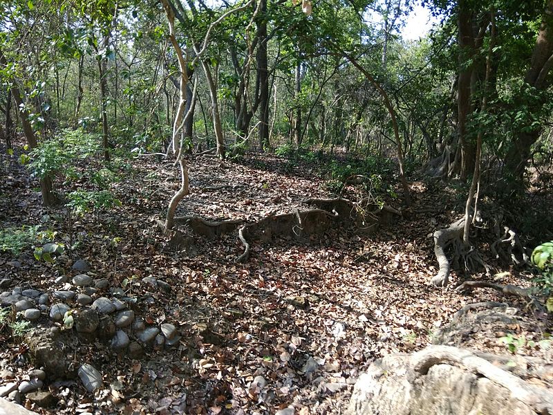 File:Jim corbett National Park's summer scenes.jpg