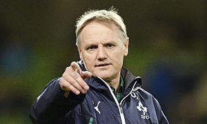 Rugby Union Joe Schmidt