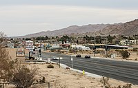 Joshua Tree